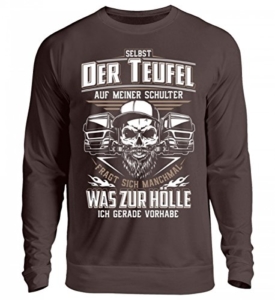 Shirtee Trucker LKW-Fahrer Fernfahrer Teufel Brummifahrer Geschenk - Unisex Pullover - 4